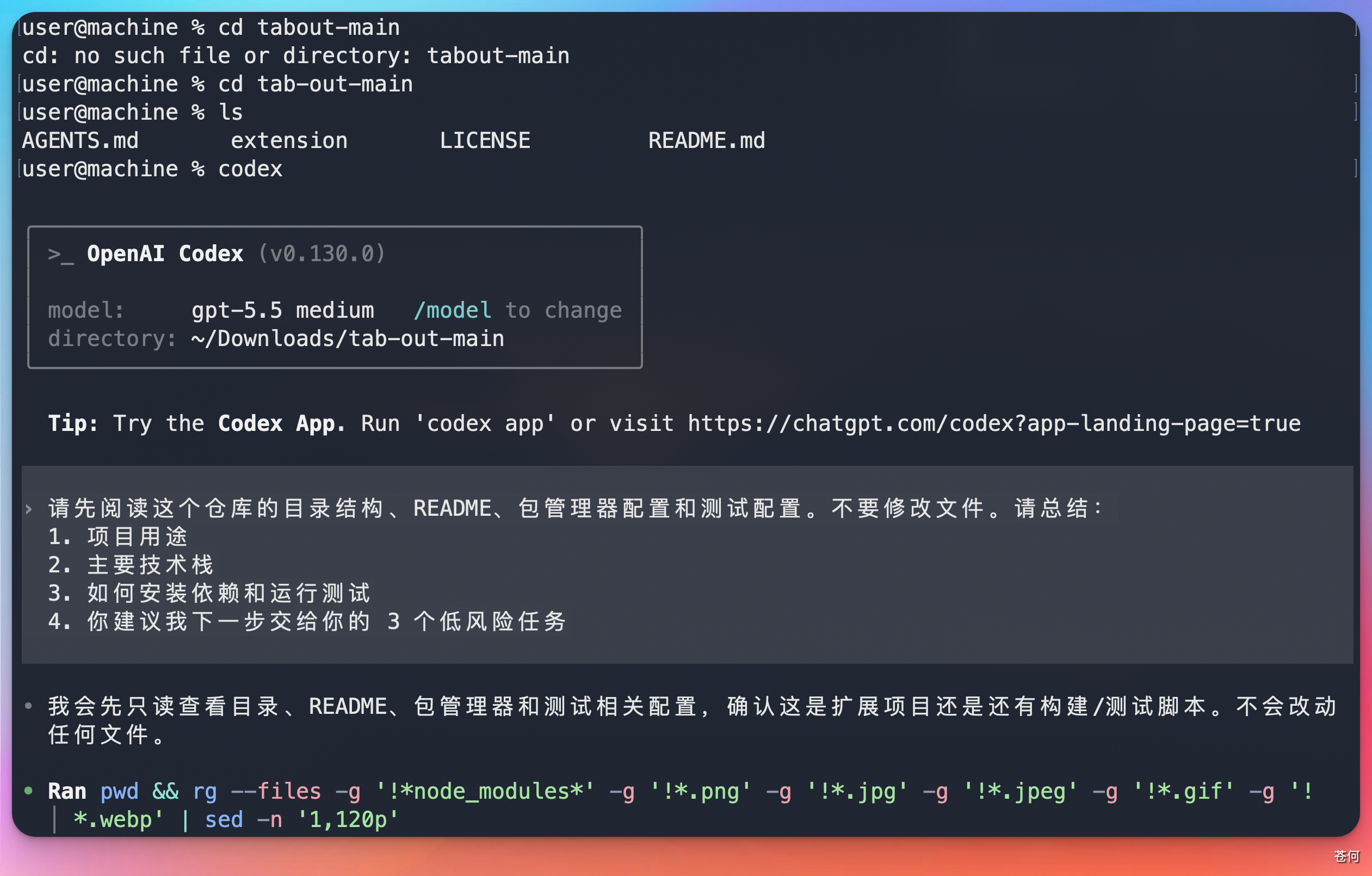 codex-cli-readonly-first-task