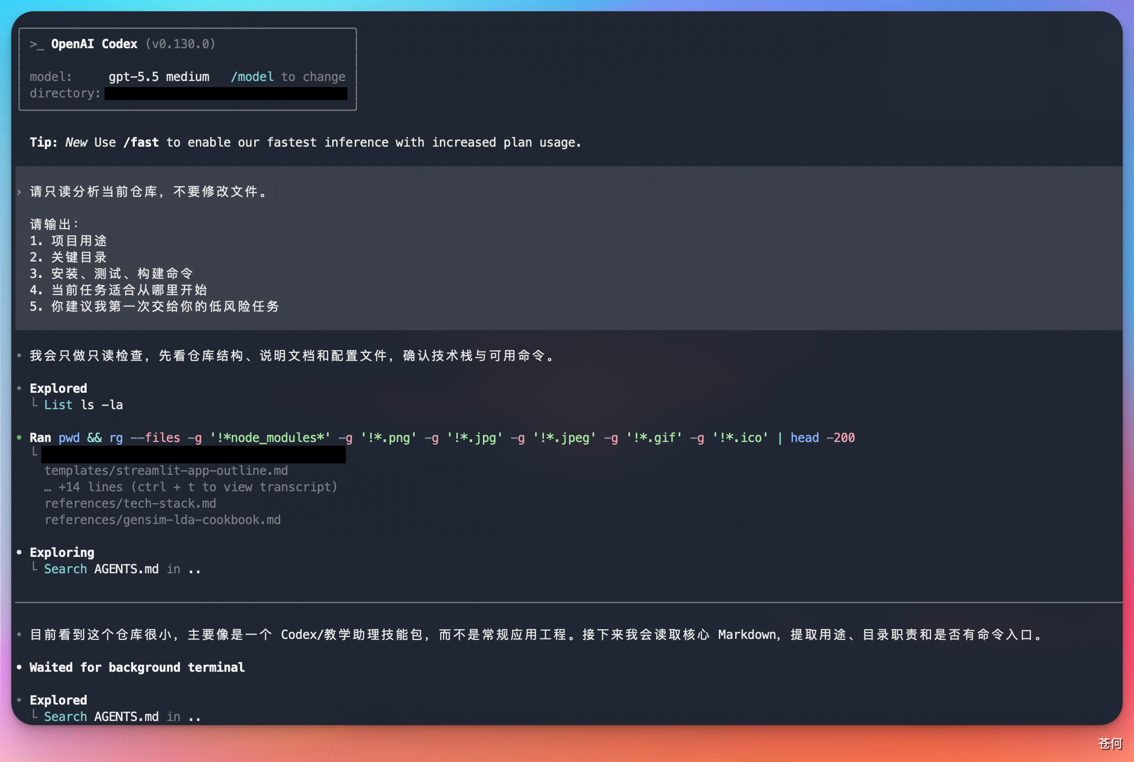 codex-cli-repo-overview-response