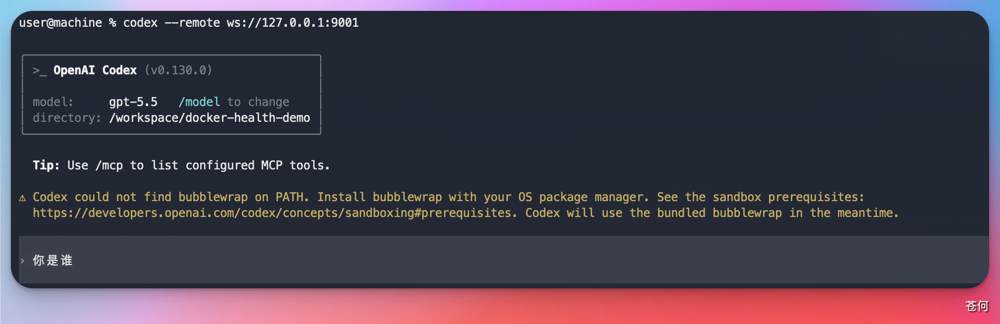 remote-bug-fix-codex-login-check